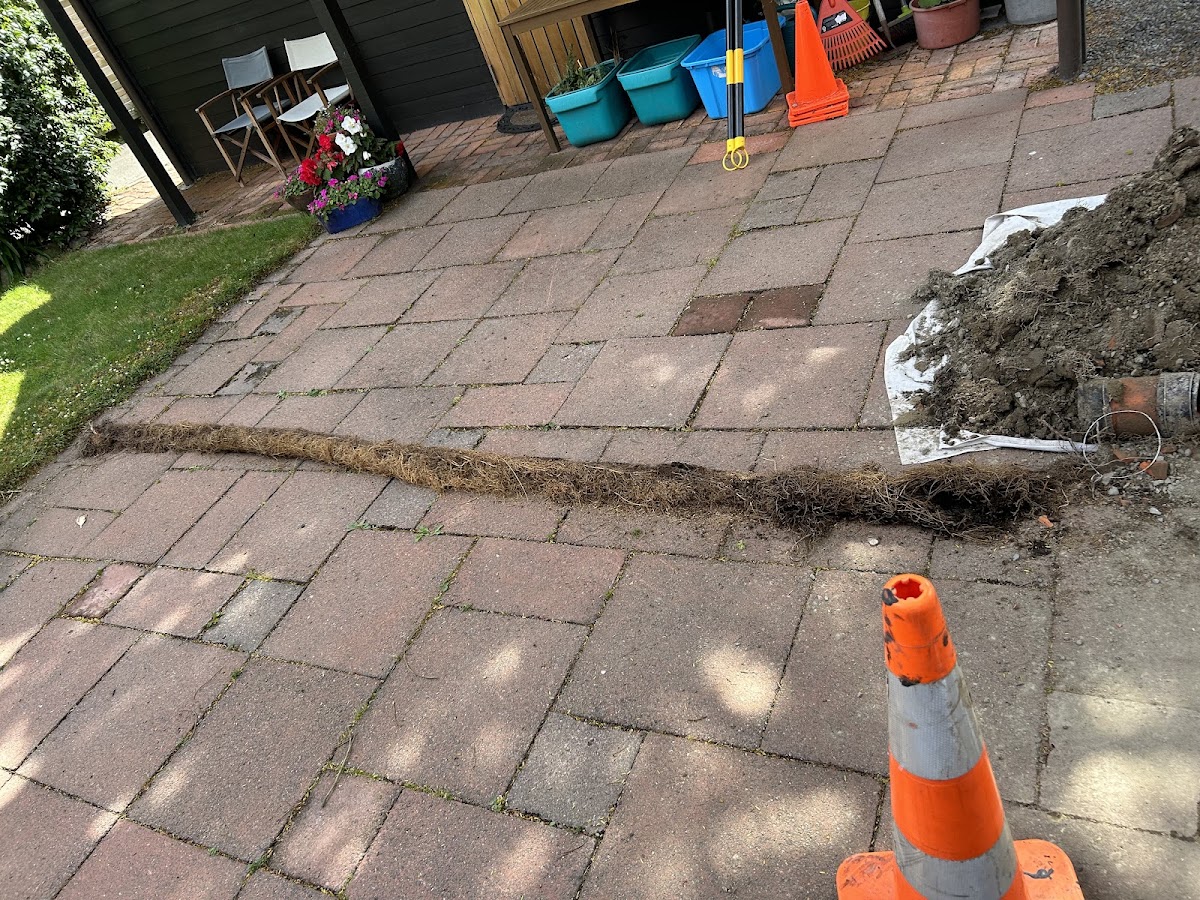 Trenching through brick pavers to repair a drain